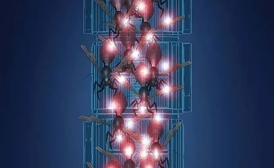 Dead Queen Chap 190 - Next Chap 191