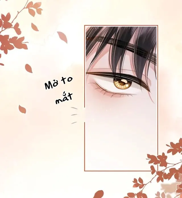 Debussy lover Chap 10 - Next Chap 11