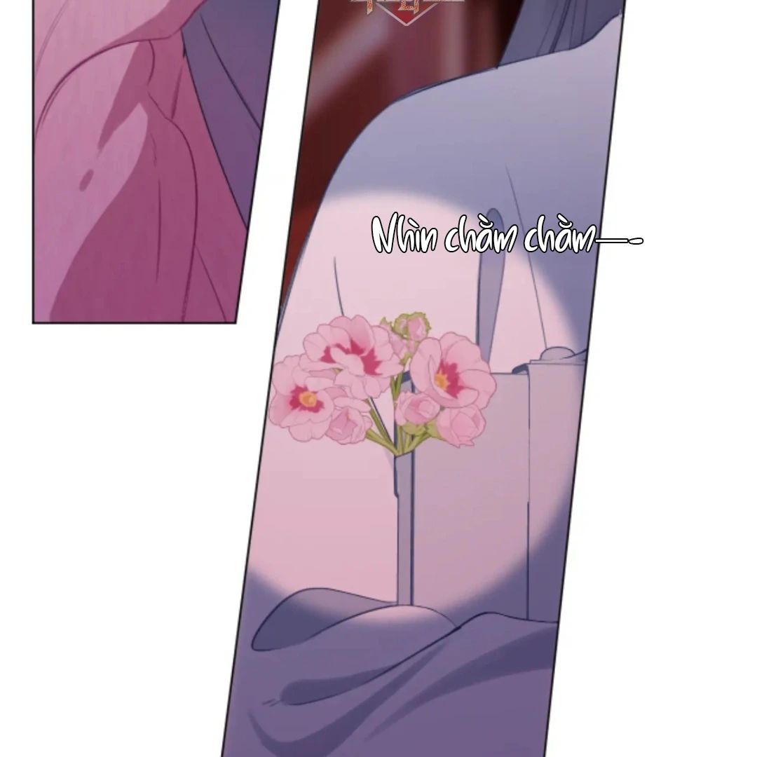 Decibel Nhịp Tim Chap 14 - Next Chap 15