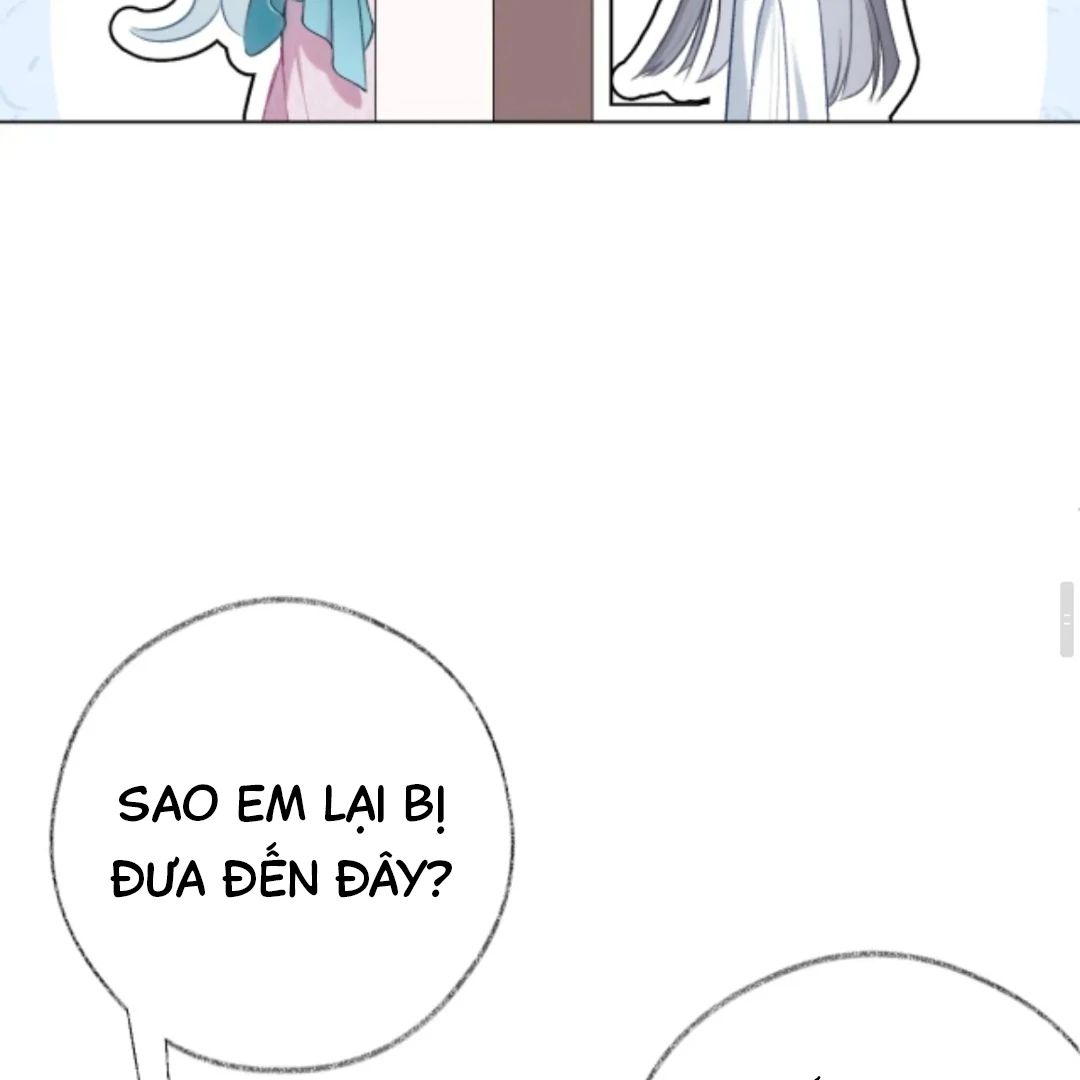 Decibel Nhịp Tim Chap 14 - Next Chap 15