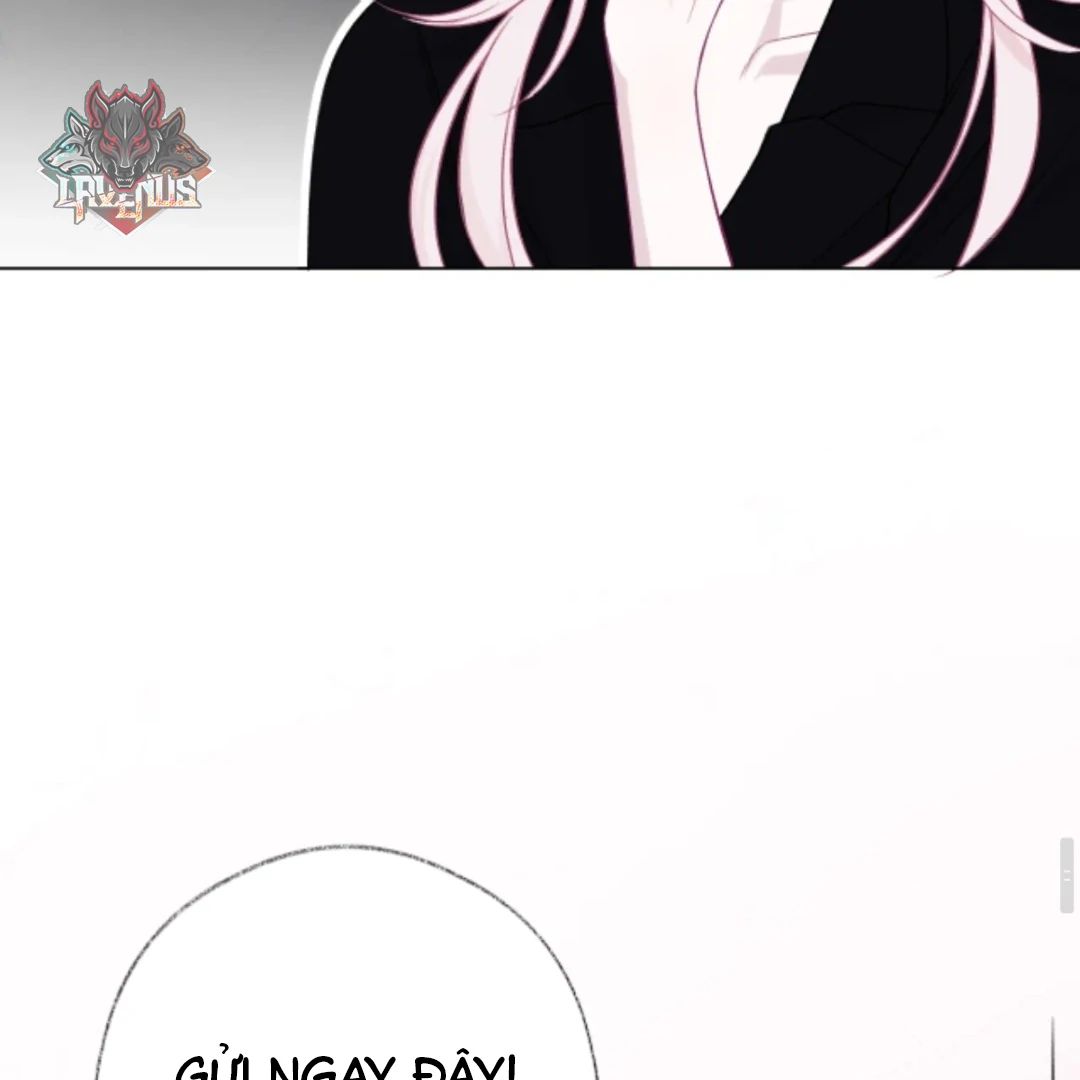 Decibel Nhịp Tim Chap 15 - Next Chap 16