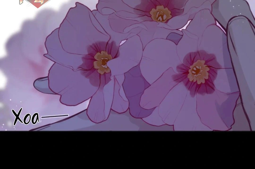 Decibel Nhịp Tim Chap 16 - Next Chap 17