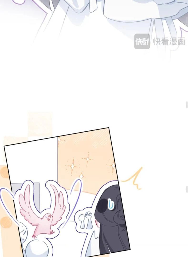 Decibel Nhịp Tim Chap 5 - Next Chap 6