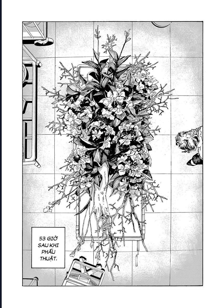 Đêm Của Kẻ Khờ Chap 14 - Next Chap 15