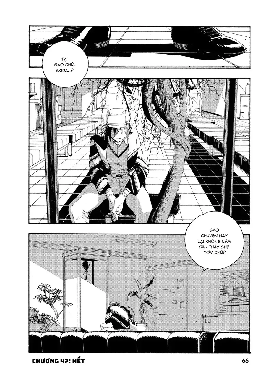 Đêm Của Kẻ Khờ Chap 47 - Next Chap 48