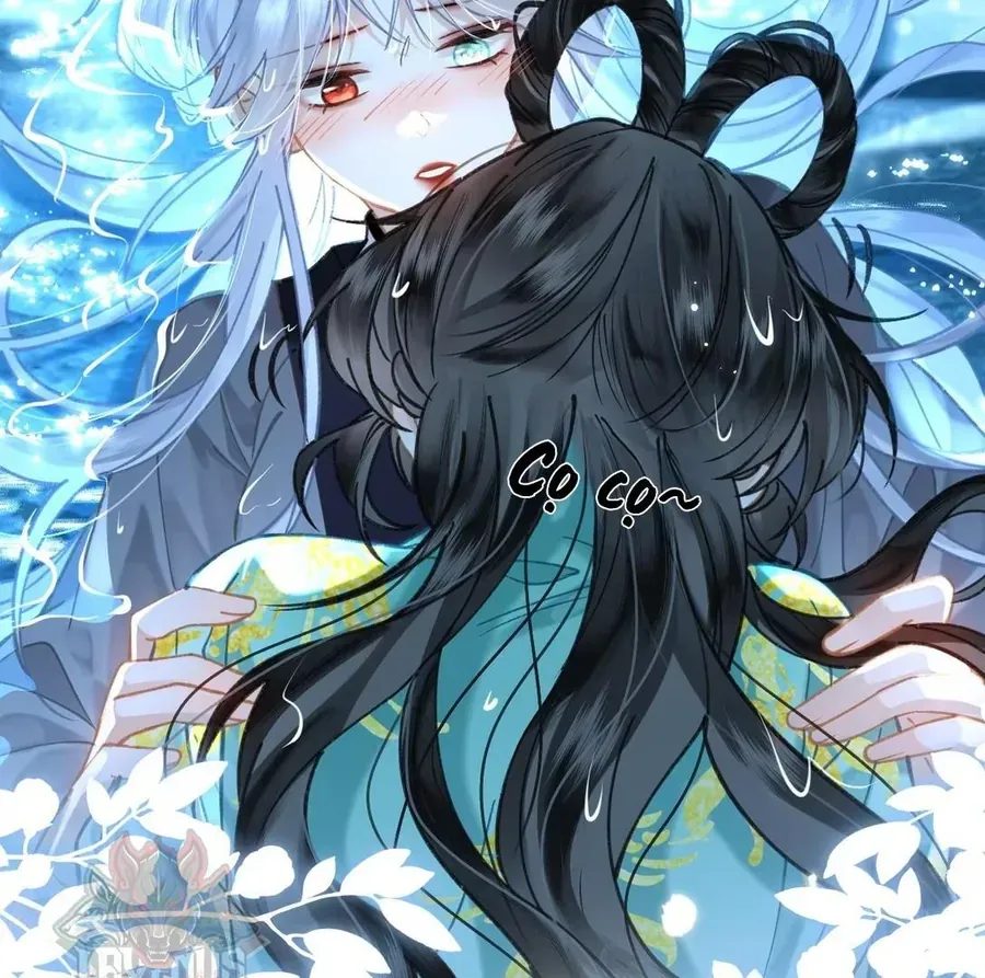 Đến Đông Hải Tìm Mỹ Nhân Chap 51 - Next Chap 52