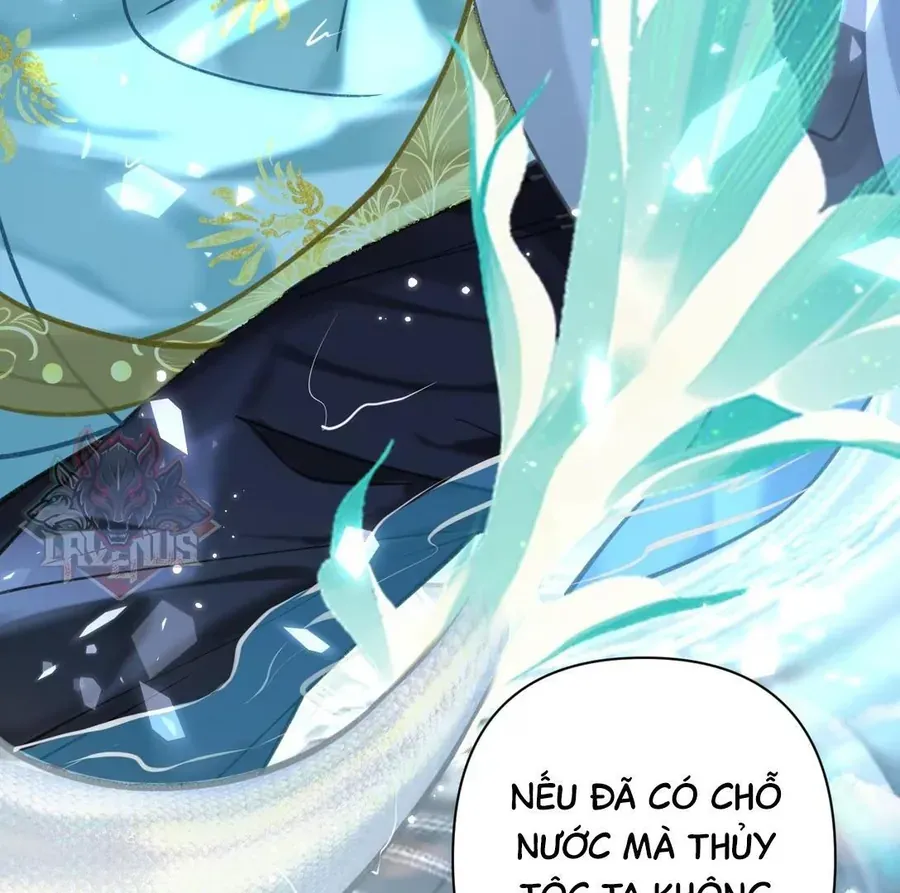 Đến Đông Hải Tìm Mỹ Nhân Chap 51 - Next Chap 52