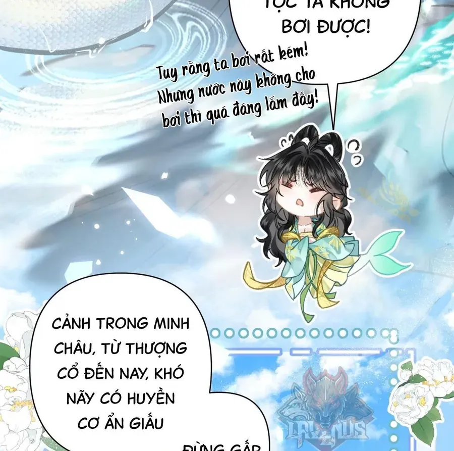 Đến Đông Hải Tìm Mỹ Nhân Chap 51 - Next Chap 52