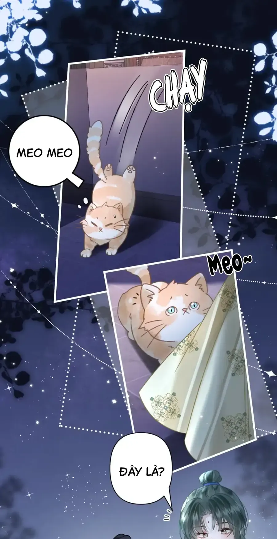 Đến Đông Hải Tìm Mỹ Nhân Chap 52 - Next Chap 53