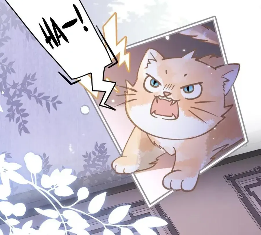 Đến Đông Hải Tìm Mỹ Nhân Chap 52 - Next Chap 53