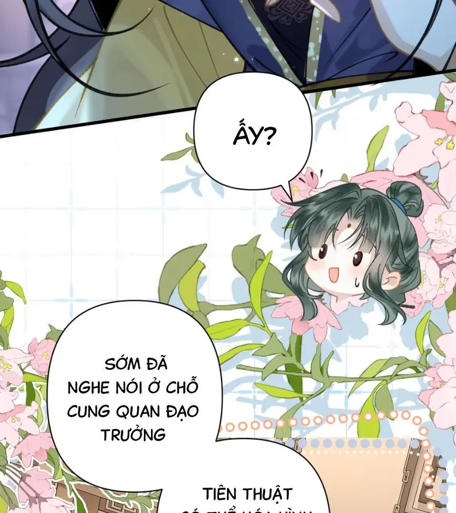 Đến Đông Hải Tìm Mỹ Nhân Chap 52 - Next Chap 53