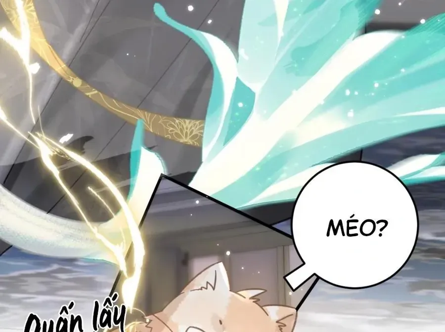 Đến Đông Hải Tìm Mỹ Nhân Chap 52 - Next Chap 53