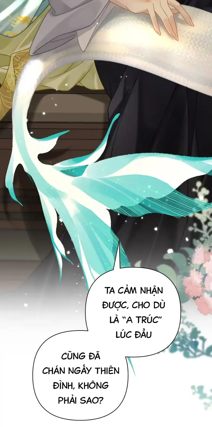 Đến Đông Hải Tìm Mỹ Nhân Chap 52 - Next Chap 53