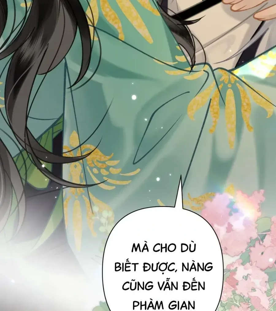 Đến Đông Hải Tìm Mỹ Nhân Chap 52 - Next Chap 53
