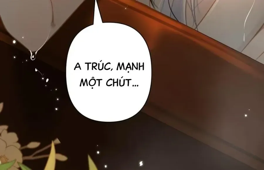 Đến Đông Hải Tìm Mỹ Nhân Chap 53 - Next Chap 54