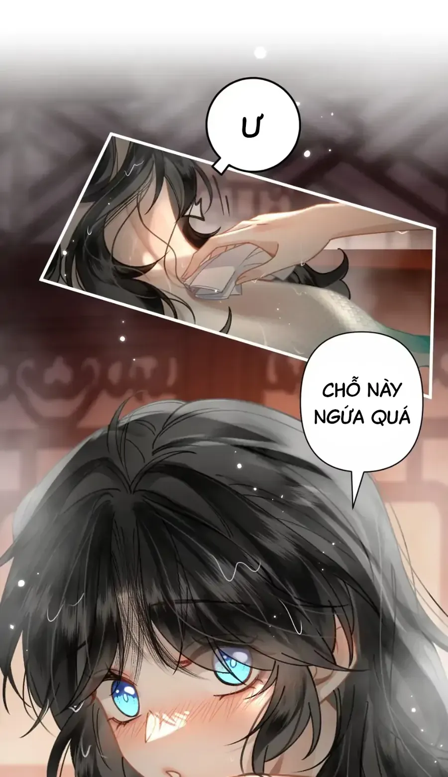 Đến Đông Hải Tìm Mỹ Nhân Chap 53 - Next Chap 54