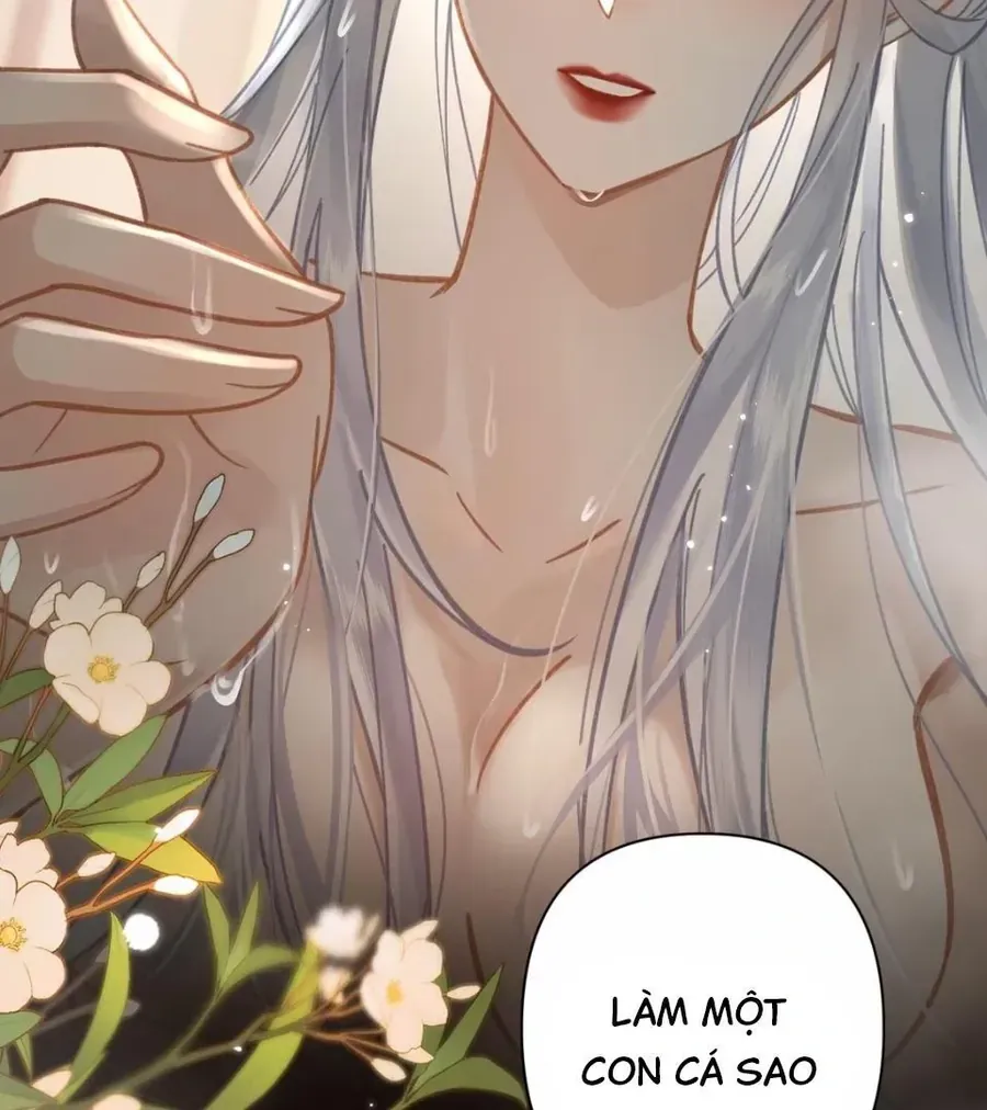 Đến Đông Hải Tìm Mỹ Nhân Chap 53 - Next Chap 54