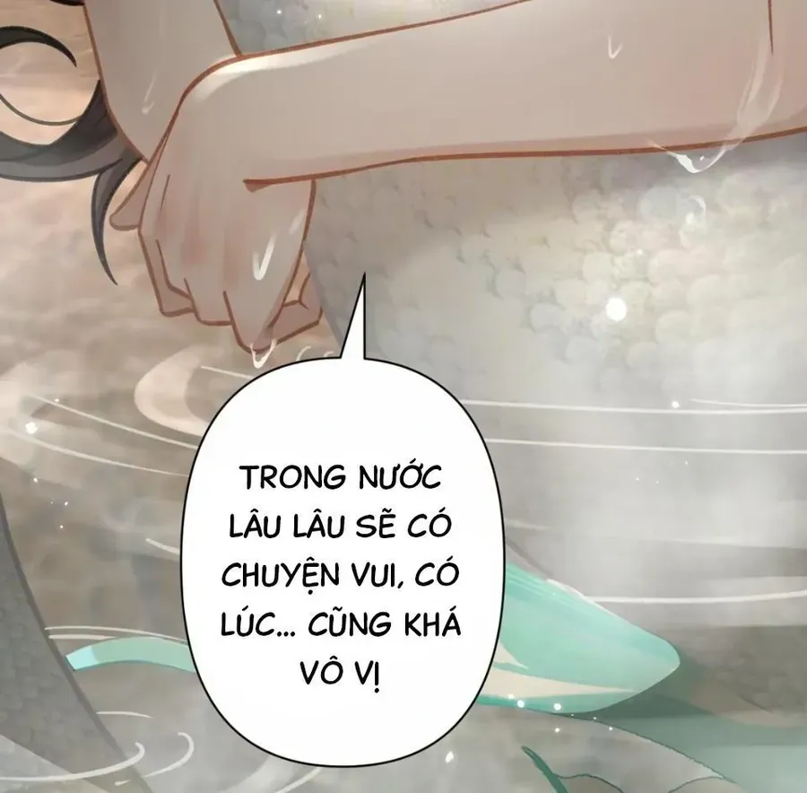 Đến Đông Hải Tìm Mỹ Nhân Chap 53 - Next Chap 54
