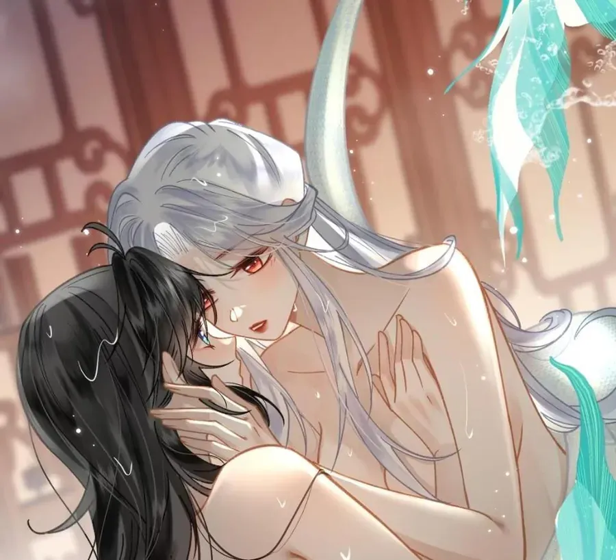 Đến Đông Hải Tìm Mỹ Nhân Chap 53 - Next Chap 54