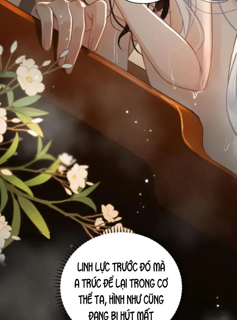 Đến Đông Hải Tìm Mỹ Nhân Chap 54 - Next Chap 55