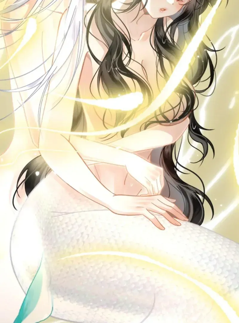 Đến Đông Hải Tìm Mỹ Nhân Chap 54 - Next Chap 55