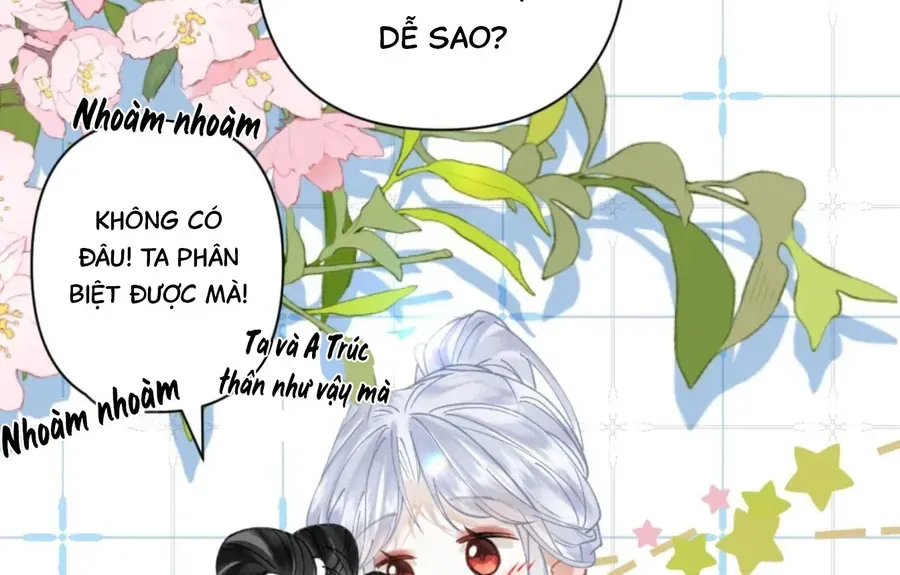 Đến Đông Hải Tìm Mỹ Nhân Chap 55 - Next Chap 56