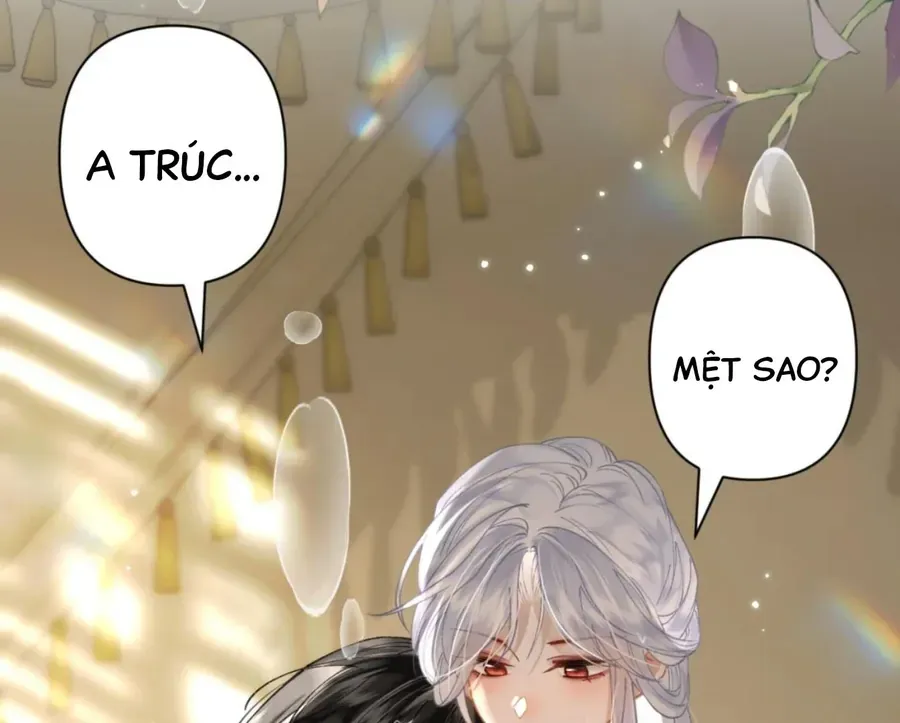 Đến Đông Hải Tìm Mỹ Nhân Chap 55 - Next Chap 56