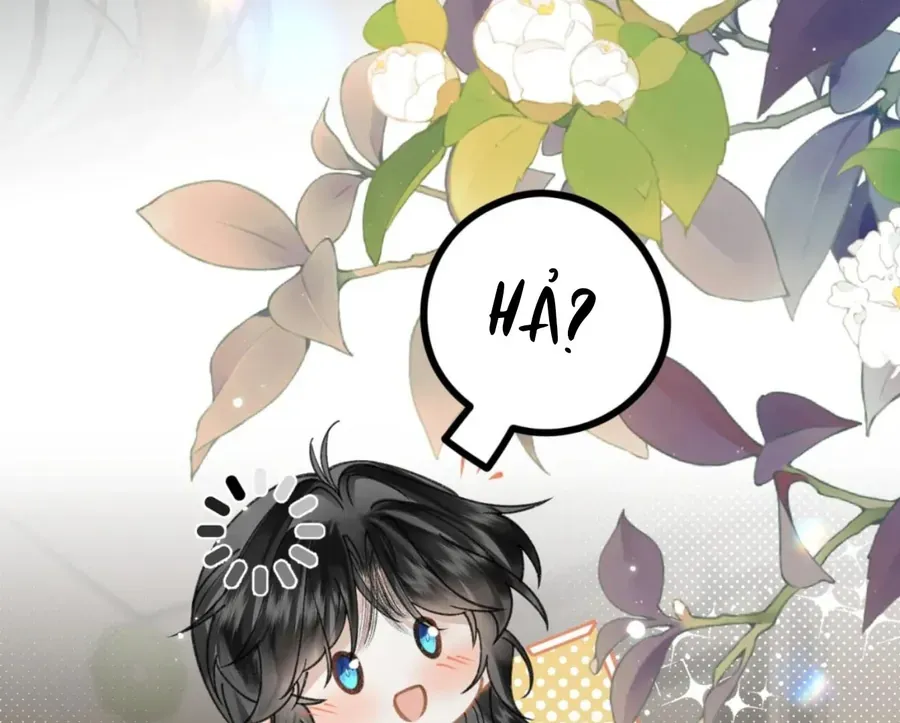 Đến Đông Hải Tìm Mỹ Nhân Chap 55 - Next Chap 56