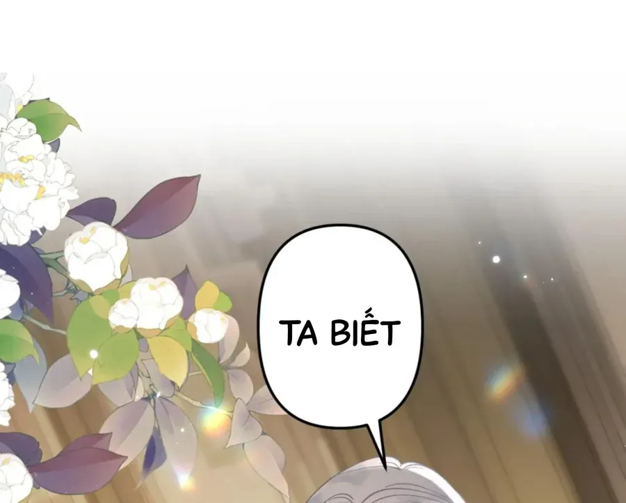 Đến Đông Hải Tìm Mỹ Nhân Chap 55 - Next Chap 56