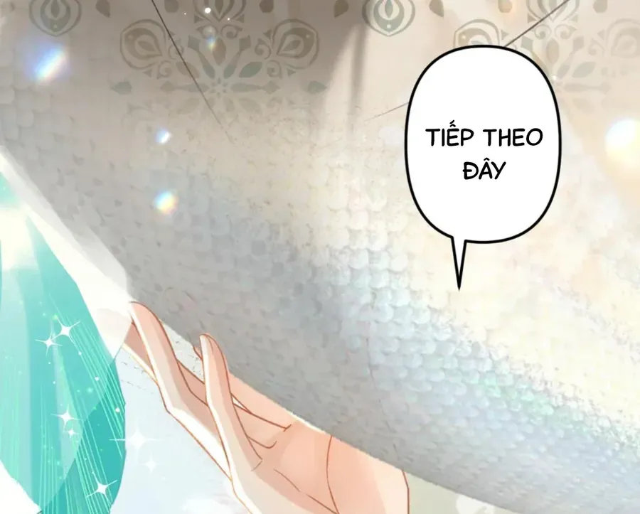 Đến Đông Hải Tìm Mỹ Nhân Chap 55 - Next Chap 56