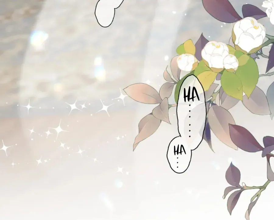 Đến Đông Hải Tìm Mỹ Nhân Chap 55 - Next Chap 56