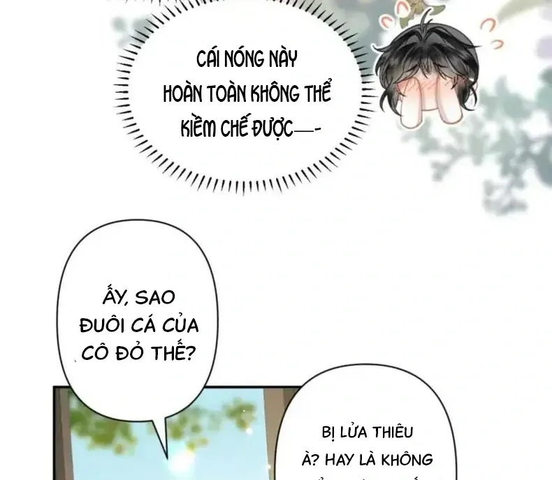 Đến Đông Hải Tìm Mỹ Nhân Chap 56 - Next Chap 57