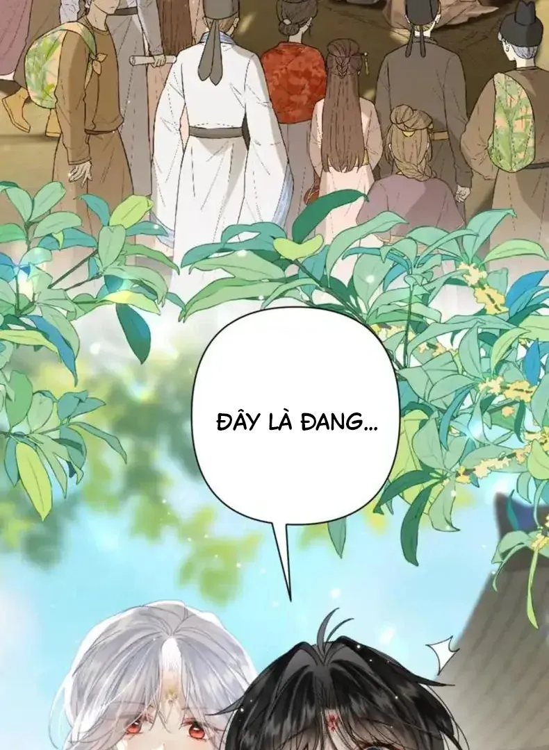 Đến Đông Hải Tìm Mỹ Nhân Chap 56 - Next Chap 57