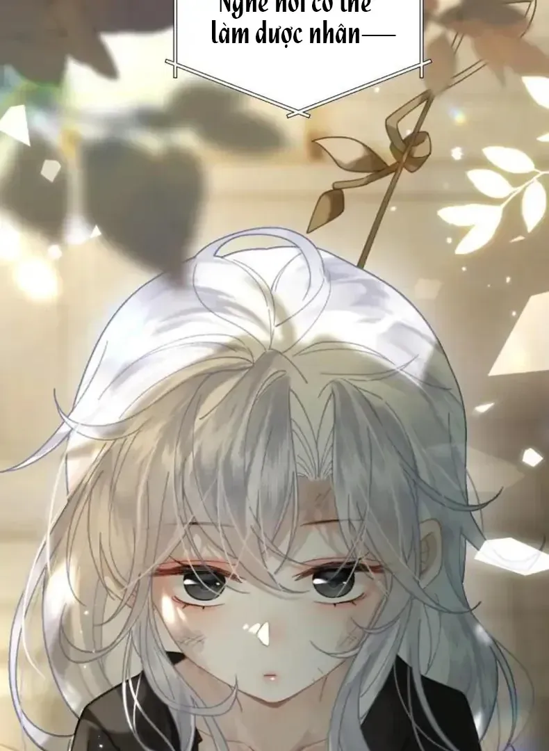 Đến Đông Hải Tìm Mỹ Nhân Chap 56 - Next Chap 57