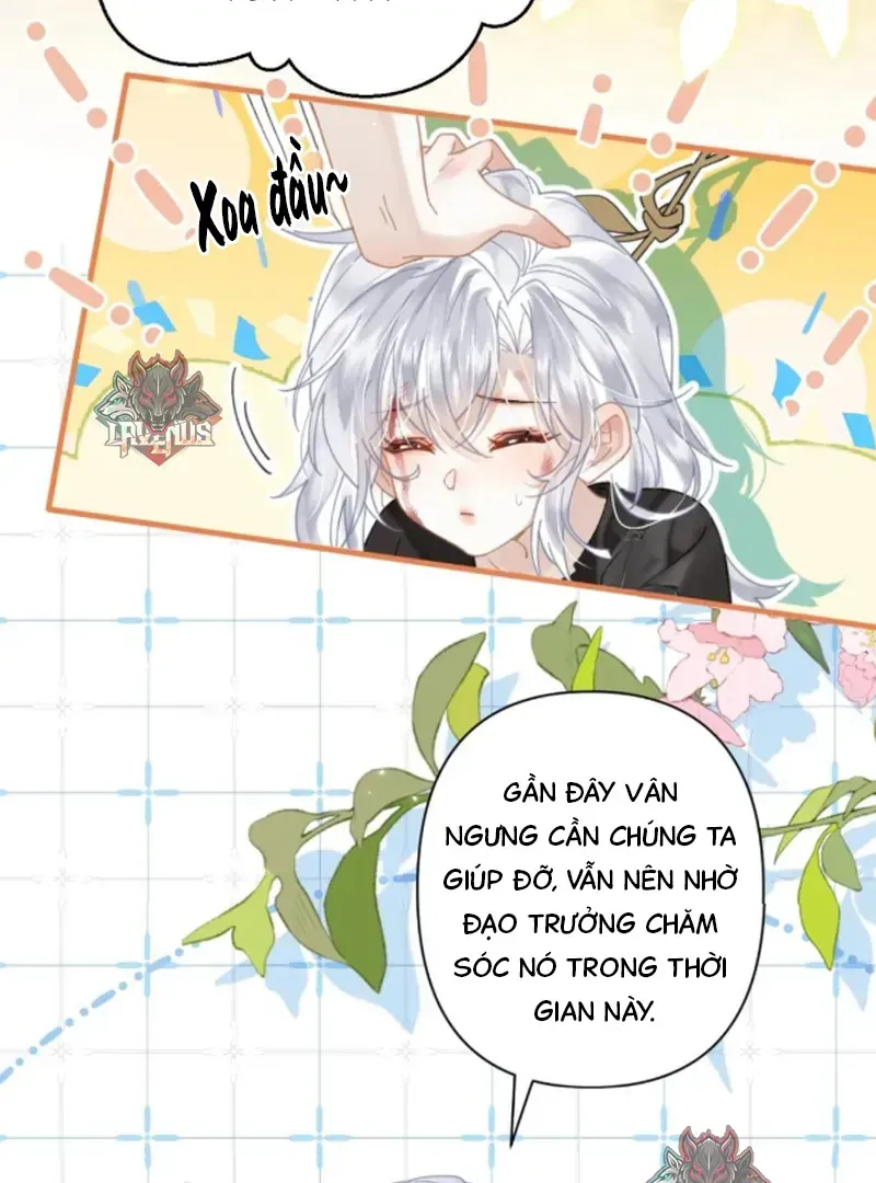 Đến Đông Hải Tìm Mỹ Nhân Chap 57 - Next Chap 58