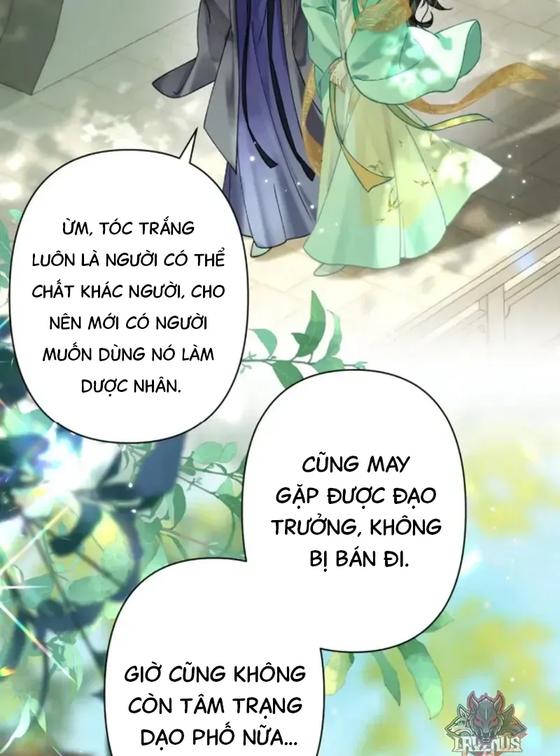 Đến Đông Hải Tìm Mỹ Nhân Chap 57 - Next Chap 58