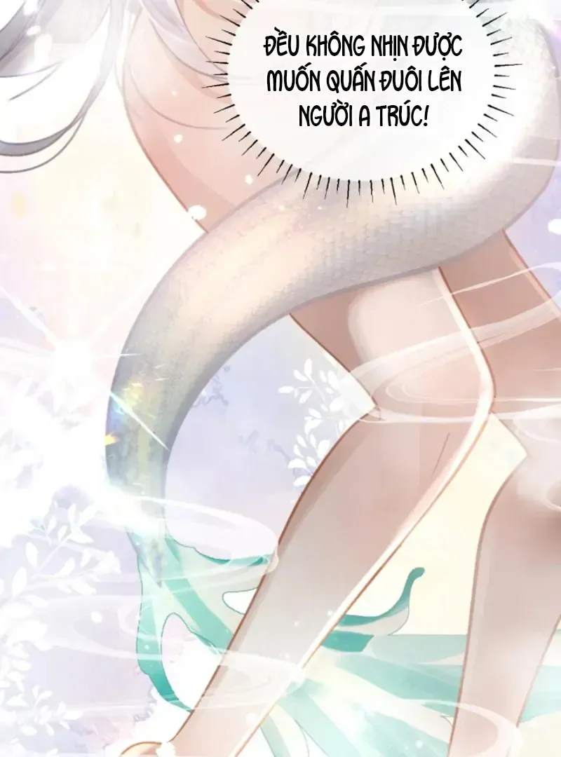 Đến Đông Hải Tìm Mỹ Nhân Chap 57 - Next Chap 58