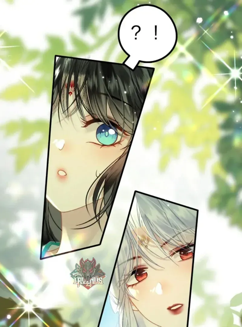 Đến Đông Hải Tìm Mỹ Nhân Chap 57 - Next Chap 58