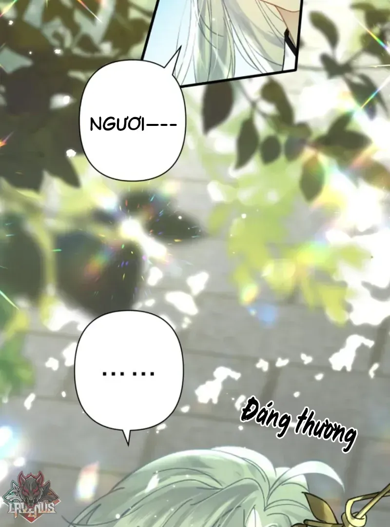 Đến Đông Hải Tìm Mỹ Nhân Chap 57 - Next Chap 58