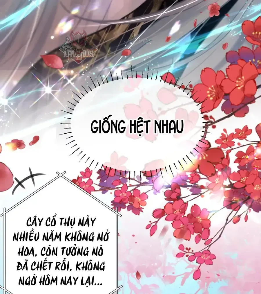 Đến Đông Hải Tìm Mỹ Nhân Chap 58 - Next Chap 59