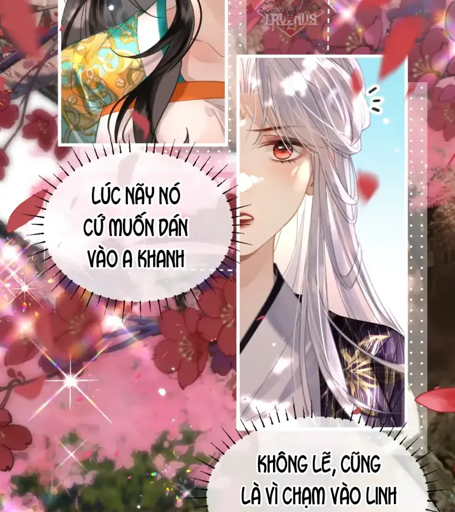 Đến Đông Hải Tìm Mỹ Nhân Chap 58 - Next Chap 59