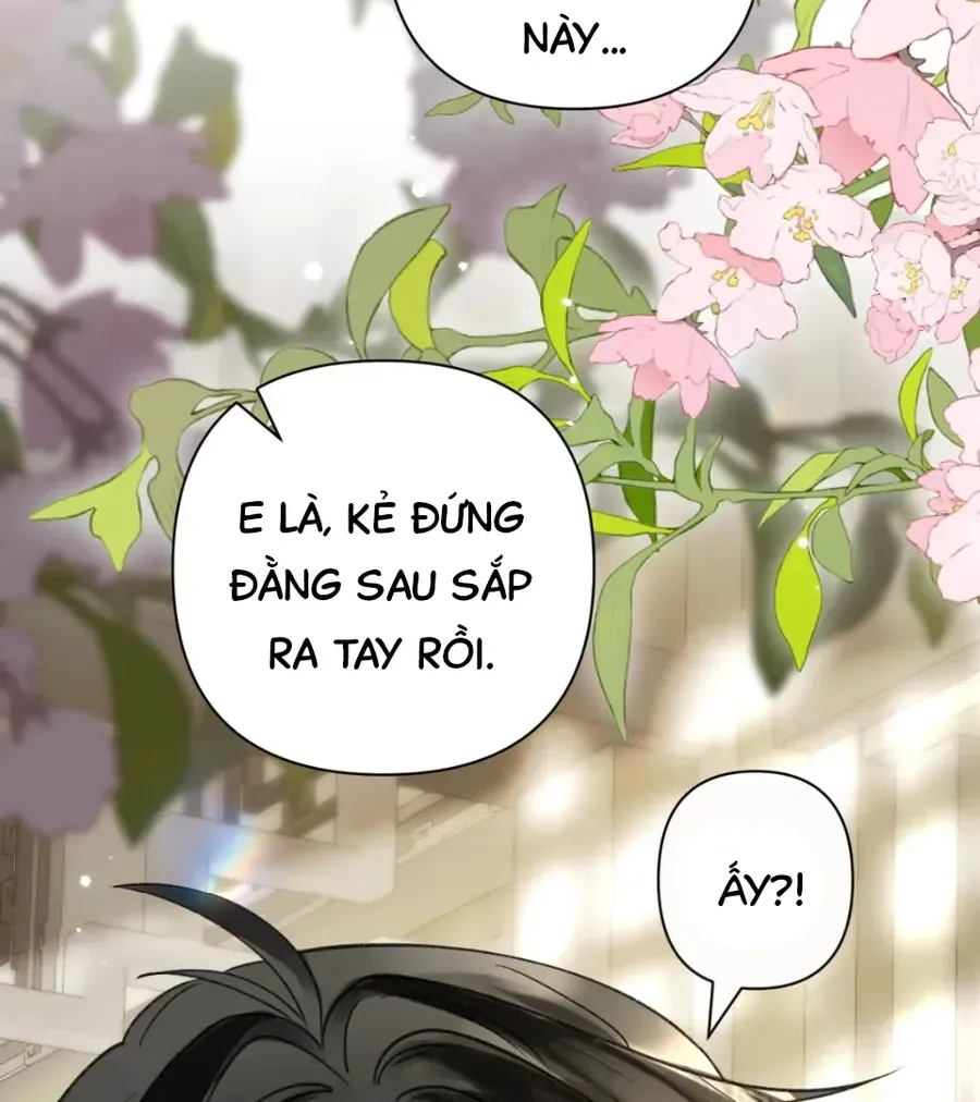Đến Đông Hải Tìm Mỹ Nhân Chap 58 - Next Chap 59