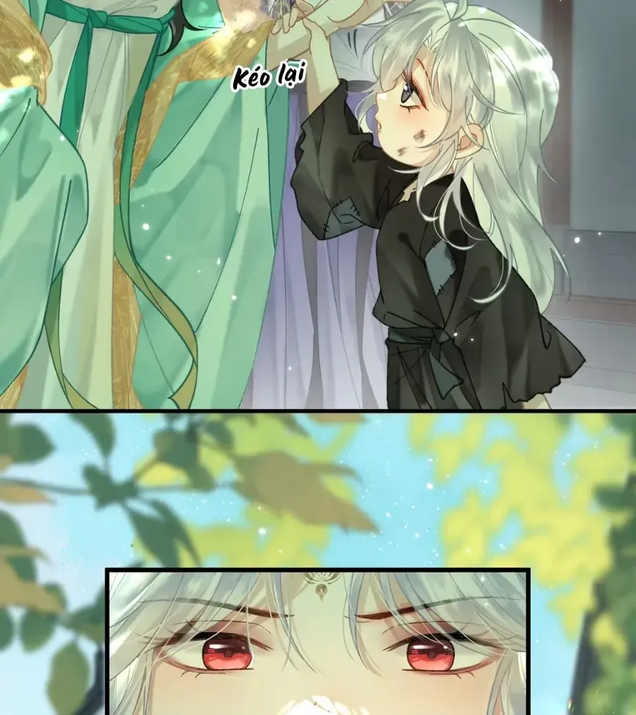 Đến Đông Hải Tìm Mỹ Nhân Chap 58 - Next Chap 59