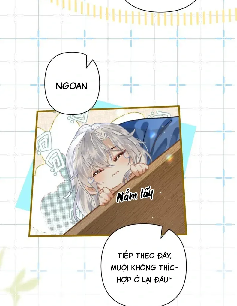 Đến Đông Hải Tìm Mỹ Nhân Chap 59 - Next Chap 60