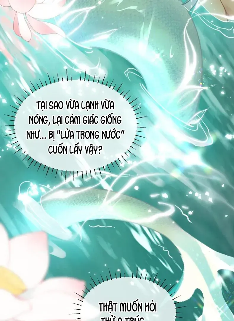 Đến Đông Hải Tìm Mỹ Nhân Chap 59 - Next Chap 60