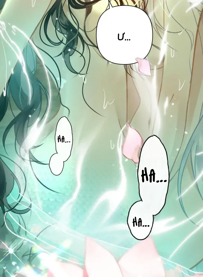 Đến Đông Hải Tìm Mỹ Nhân Chap 59 - Next Chap 60