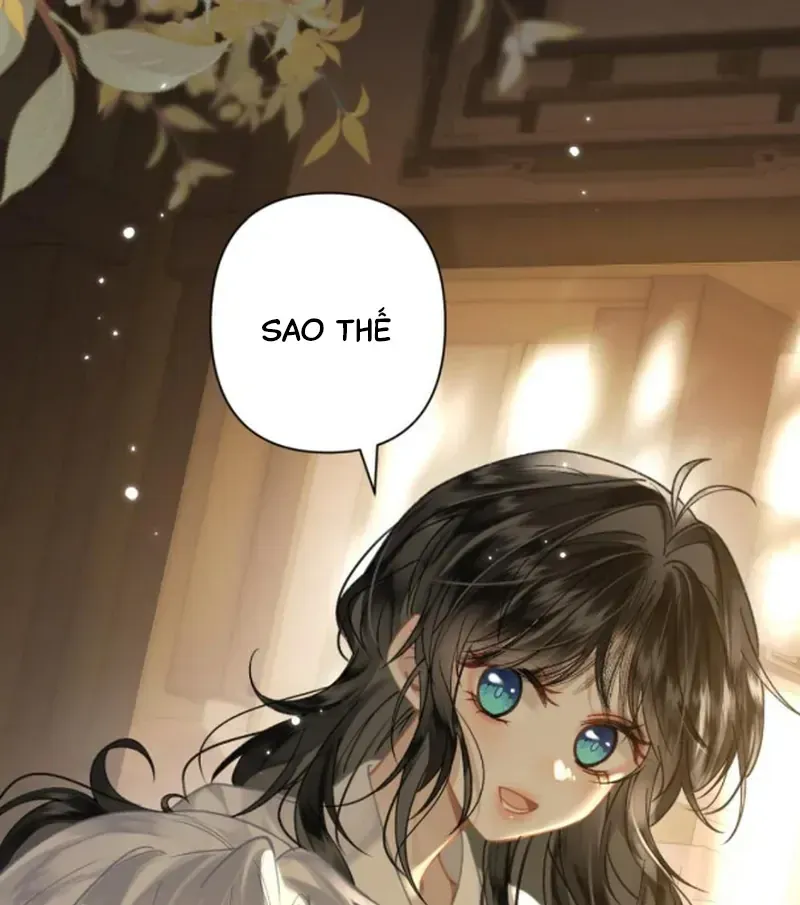 Đến Đông Hải Tìm Mỹ Nhân Chap 62 - Next Chap 63