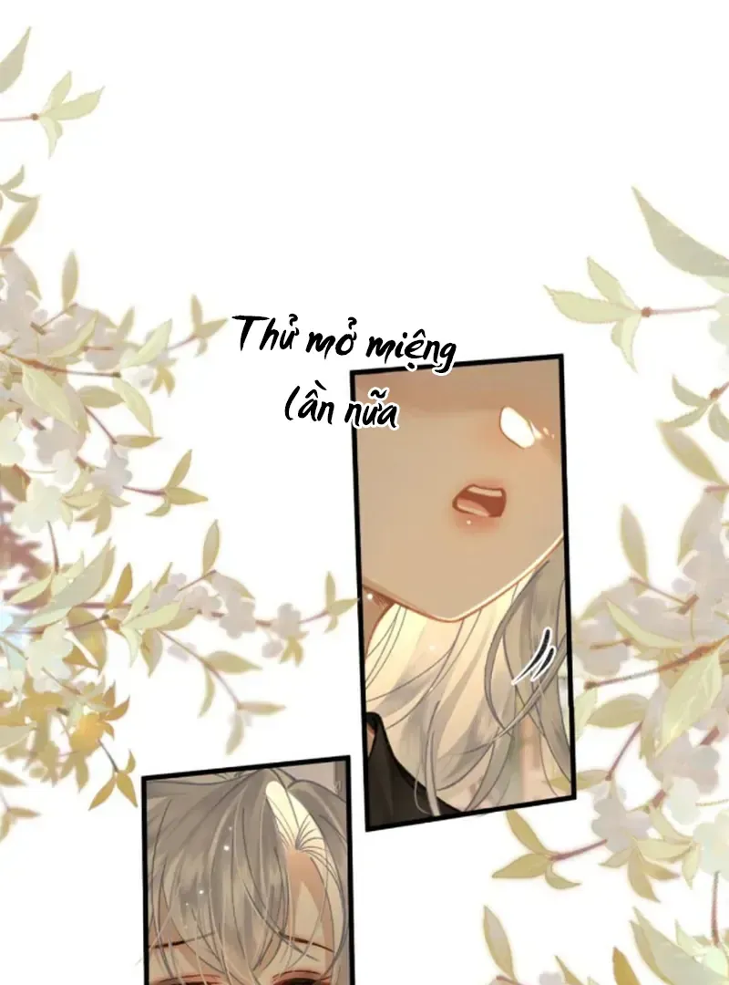 Đến Đông Hải Tìm Mỹ Nhân Chap 62 - Next Chap 63