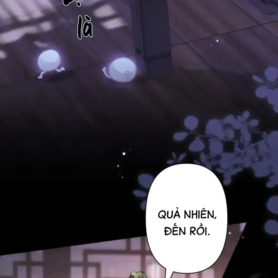 Đến Đông Hải Tìm Mỹ Nhân Chap 63 - Next Chap 64