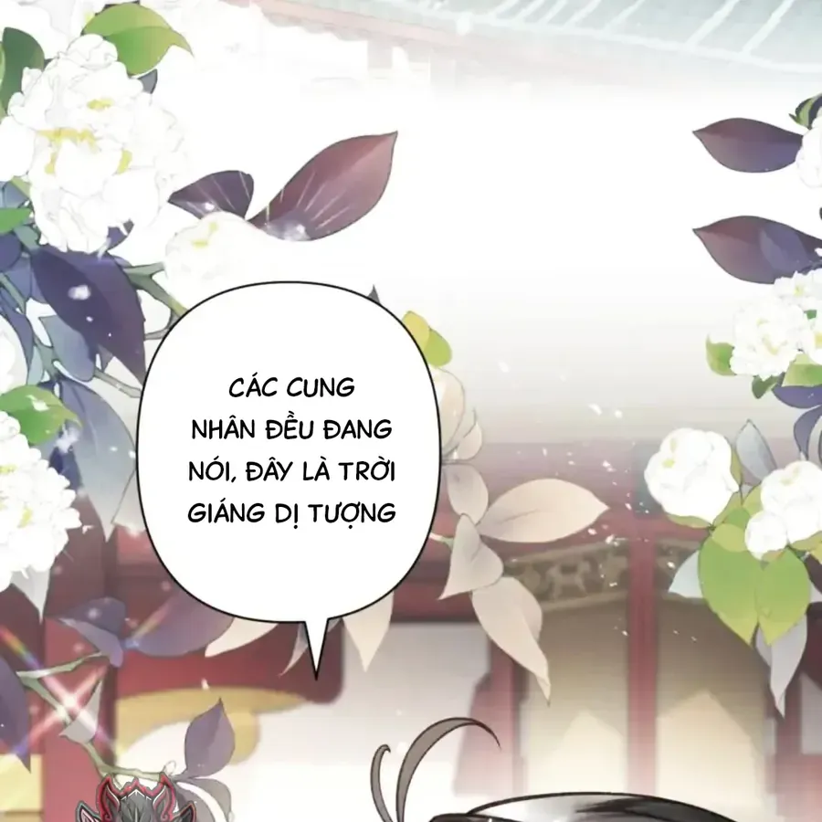 Đến Đông Hải Tìm Mỹ Nhân Chap 63 - Next Chap 64